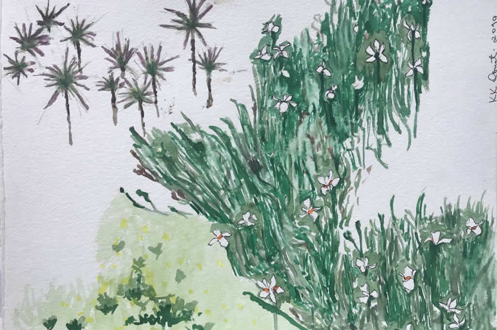 Studio KK Donat - Aquarelas