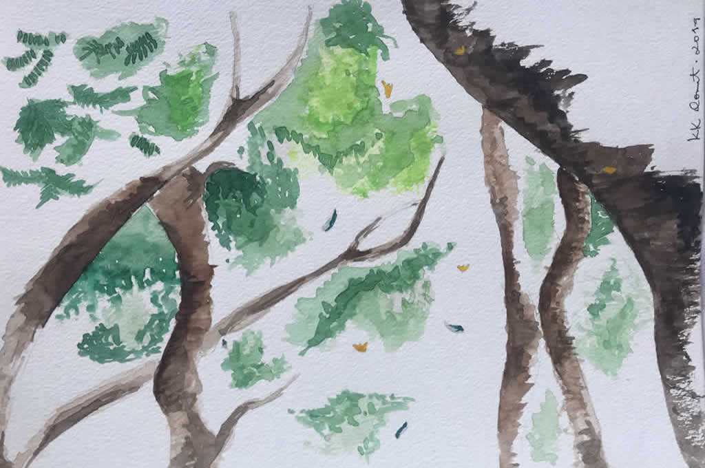 Studio KK Donat - Aquarelas