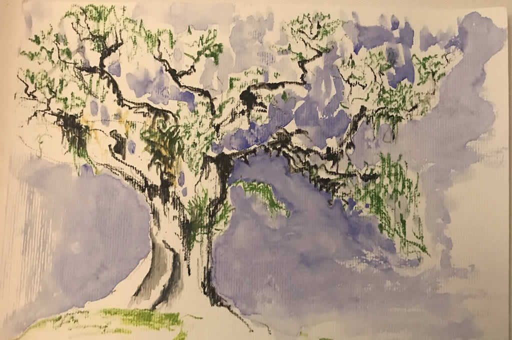 Studio KK Donat - Aquarelas